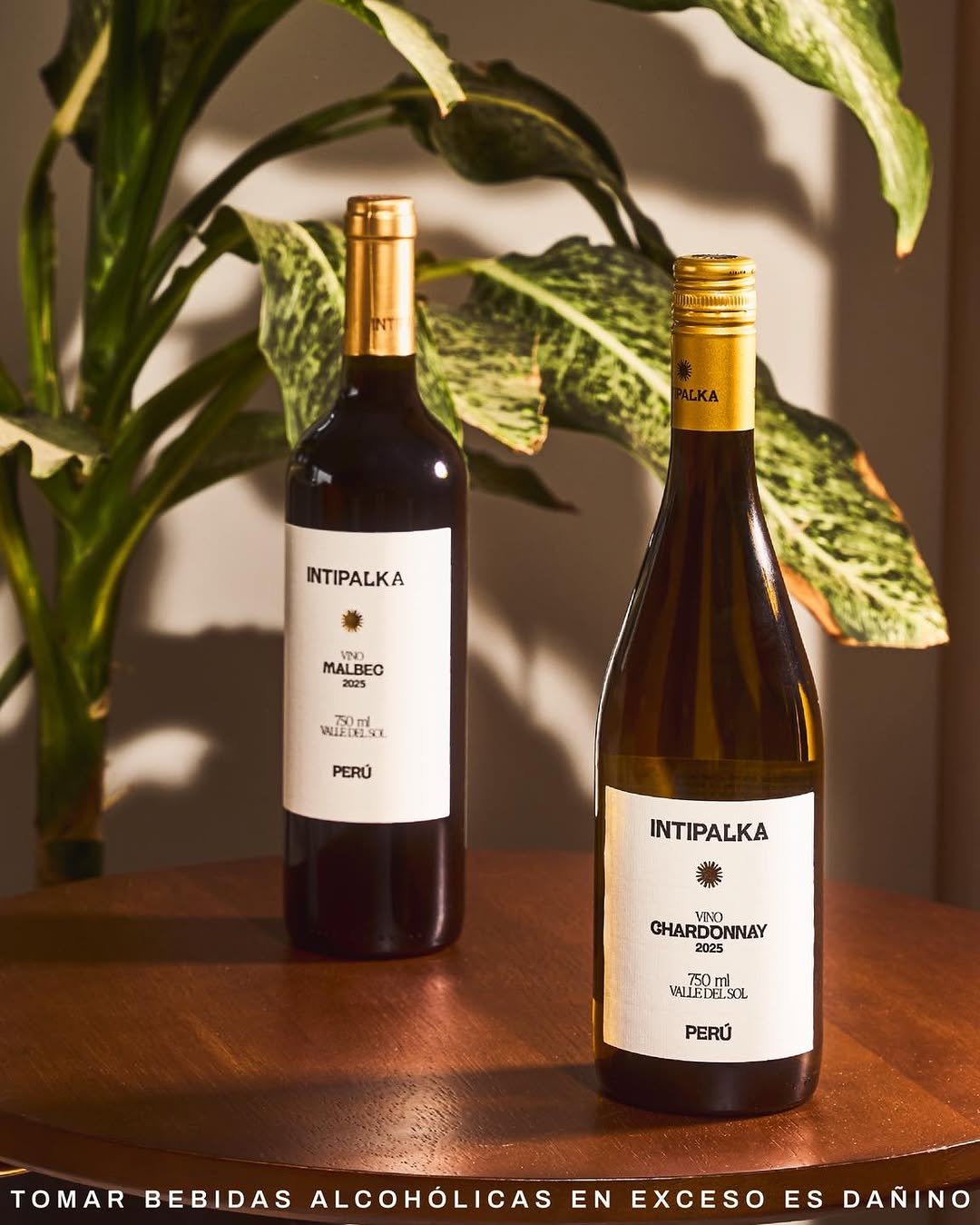 Intipalka Chardonnay (Perú) - Botella
